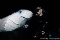 ��ҹ����������ҹǱҲ���