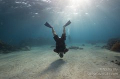 8�н������ʶ��һ���ߡ�bigger����Ǳ��