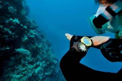 ������ˮ�µ�������