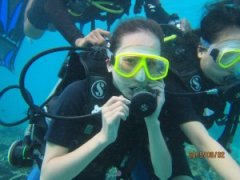 ��ѧ���뿼��Ǳˮ֤�����ĸ������ö��٣�