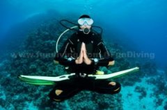 ��������Ĳ�������