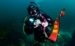 ���ƴ�ͳ���������޵İ�ȫ�����