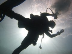 �����Ľ�ѵ�����������