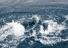 �����Ľ�ѵ����Ԯ