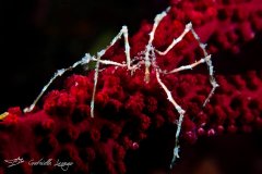 ˮ����Ӱ΢������48��