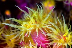 ˮ����Ӱ΢������14��