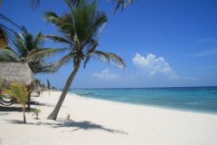 Ǳ��ī����-����÷Cozumel