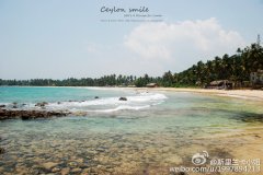 ��̲���ԣ������ĸ�����˹������������̲��