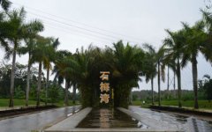 ���ں���ʯ÷�� �ǳ����ŵ�����