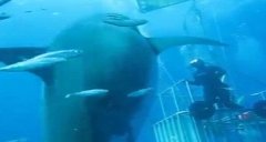 ���գ���ǱˮԱ�����ʹ����ˮ�����ܽӴ�