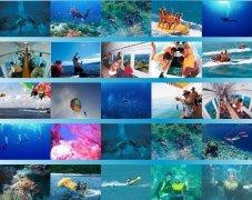 �ο�����Ǳˮ��ǿ������ Ǳˮ����������10��