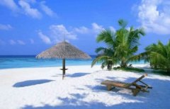 ��Ҫɨ��ˬ ȥ���ϵ� ϲ��Ǳˮ �������ʺ�������ݻ����� �ռ���