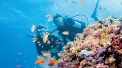 ��Ǳˮ���Ǳؿ���ɺ����ָ�ϣ�