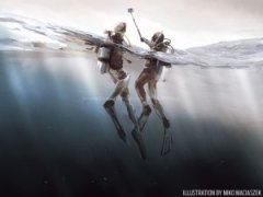 �����Ľ�ѵ�� ��������