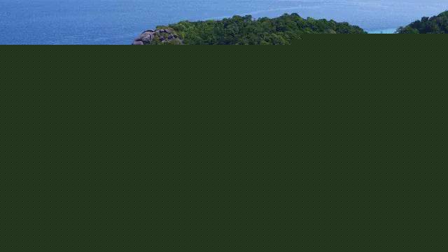 ��̬��ϵ��-˹��������