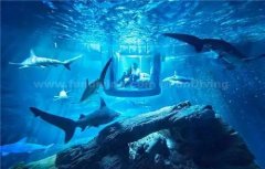 ������Ц ���ˮ���׷�������˯���������