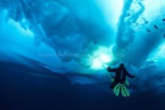 ��Ǳ����Ҫ�Ĳ�������������Ҫ����Ŀ���