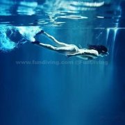 PADI �������Ը�������Ǳ�������ľ��ϣ�