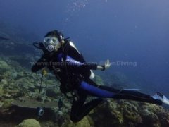 �Լ���װ���Լ��飬�Ǳ������ö���ͷ������